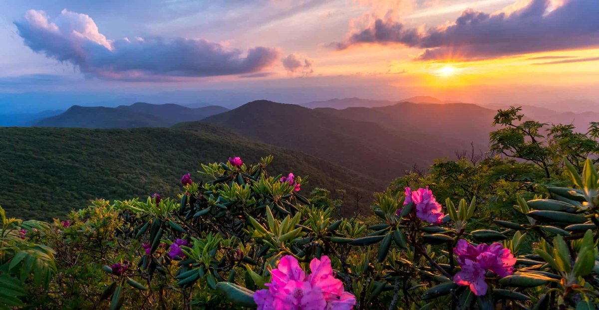Fairview Drive Area, NC - Fairview NC | Mosaic Community Lifestyle Realty